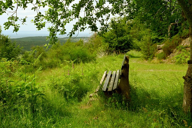 自己严格的 自己严格的