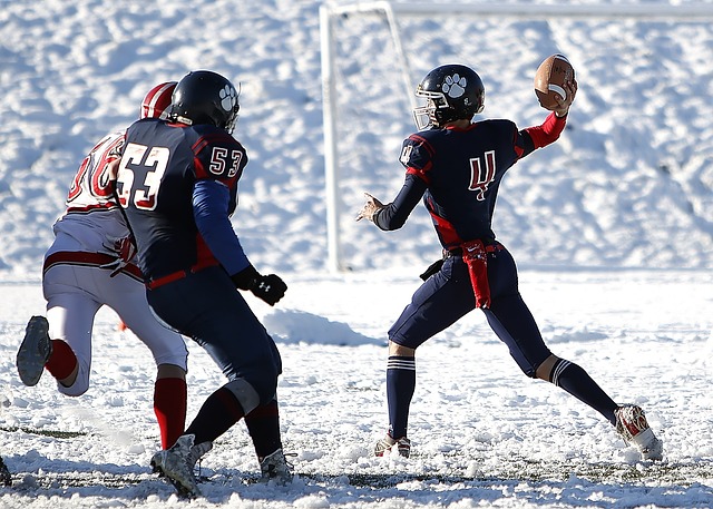夺冠赛季的 夺冠赛季的